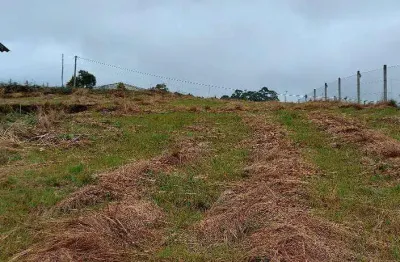 Terreno em condomínio para venda  no centro de são francisco de paula