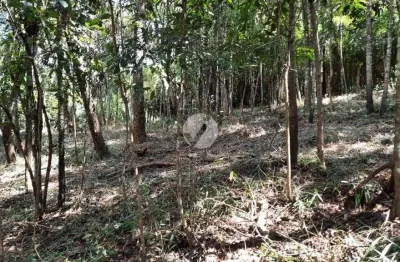 Terreno em condomínio fechado à venda na arapongas, lote 122, estância serrana, nova lima por r$ 1.490.000