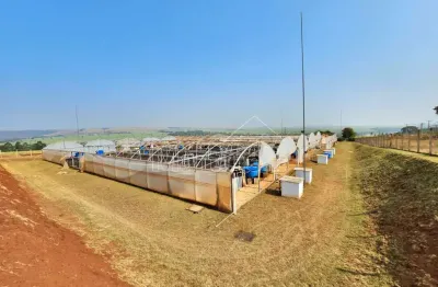 Fazenda à venda na Zona Rural, São Simão 