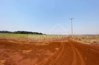 Área comercial de 130.000m² de área terreno a venda na rodovia anhanguera - jardinópolis/sp.
