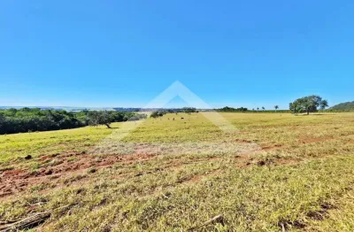 Fazenda à venda na Zona Rural, Batatais 