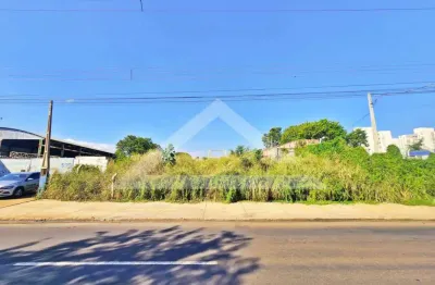 Terreno misto à venda no bairro campos elíseos, próximo à av. mal. costa e silva - ribeirão preto/sp