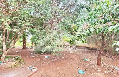 Casa térrea à venda no bairro vila elisa, próximo a avenida brasil - ribeirão preto/sp.