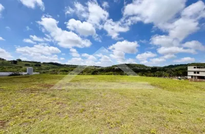 Terreno comercial para venda e locação no bairro residencial e empresarial alphaville, próximo ao restaurante ócio - ribeirão preto/sp.