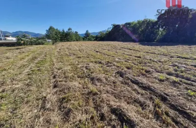 Terreno à venda na Tancredo Neves, Centro, Timbó