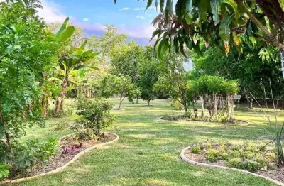 Chácara / sítio com 5 quartos à venda na Rua Santa Luiza, Guarda do Cubatão, Palhoça