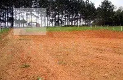 Chácara / sítio à venda no Bairro do Carmo, São Roque 