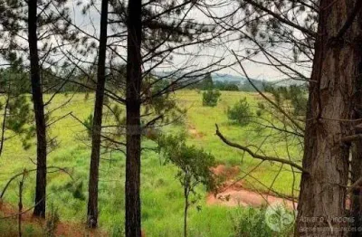 ÁREA À VENDA NO LOTEAMENTO CHÁCARAS DO PINHAL EM CABREÚVA - 31.110 m², 90% da área terraplanada pronta para construir; a 800 metros da rodovia.