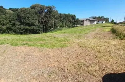 Chácara / sítio à venda na Zona Rural, Campo Largo 