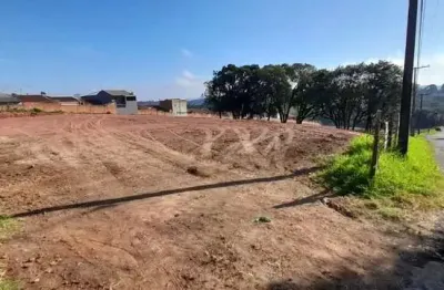 Terreno à venda no Loteamento Miranda, Campo Largo 