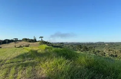 Terreno à venda na Theodoro Durau 01, 1000, Rodeio Santo Antônio, Balsa Nova
