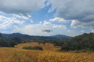 Otimo terreno para haras, 5 minutos do centro de bateias
