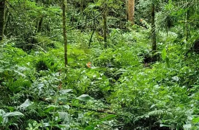 Viva no paraíso! chácara de 24.200m² com rio e vista incrível!