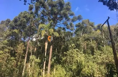 Chácara / sítio com 1 quarto à venda na Zona Rural, Contenda 