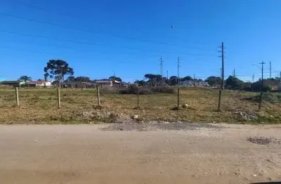 Terreno à venda na Jorge Demétrio Paulista, 1, Loteamento São Gerônimo, Campo Largo