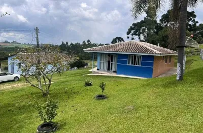 Chácara / sítio com 5 quartos à venda na Mato Grosso, 100, Bugre, Balsa Nova