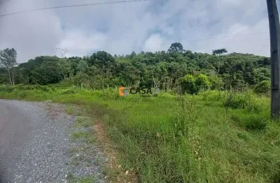 Terreno à venda na Br-277, 10, Jardim Bela Vista, Balsa Nova