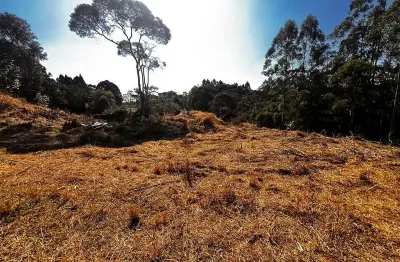Terreno de 10.000,00 m2 de área disponível para venda!