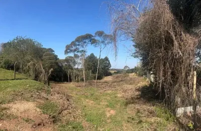 Terreno à venda na Julio Bugnhaki, 10, Vila Delurdes, Campo Largo