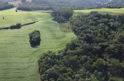 Terreno rural com 104.000m², água mineral e natureza em bateias!