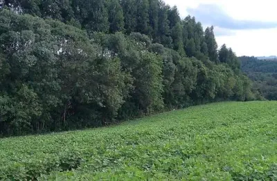 Sua oportunidade na pr-510: terreno rural estratégico em balsa nova!