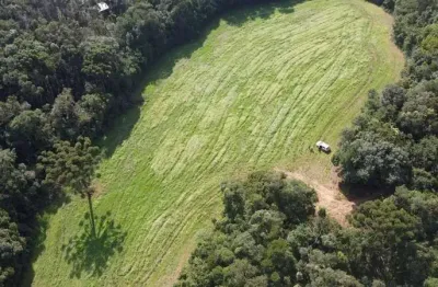 Terreno para formação de chácara próximo ao centro de campo largo