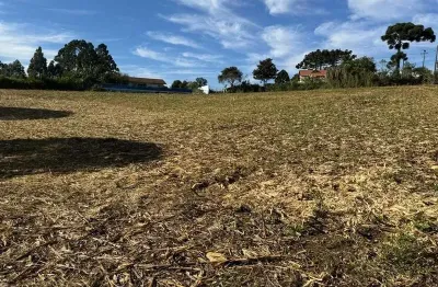 Terreno dos seus sonhos em localização priveligiada