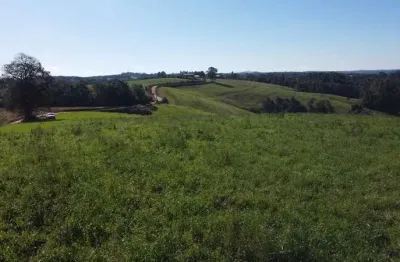 Chácara com vista de cinema a 10 min do centro de campo largo!