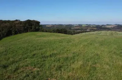 Chácara com vista de cinema a 10 min do centro de campo largo!