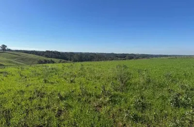 Chácara com vista de cinema a 10 min do centro de campo largo!