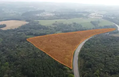 Terreno à venda na Pr-423, 2532, Botiatuva, Campo Largo