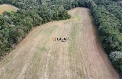 Chácara / sítio com 1 quarto à venda na Rua 15 de Maio, 1000, Colônia Balbino Cunha, Campo Largo