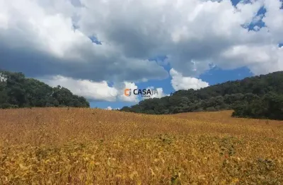 Terreno de 8 alqueires em bateias: natureza, produtividade e tranquili