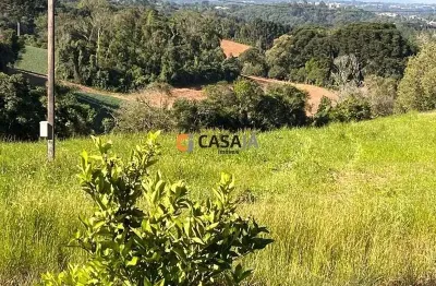 Espaço dos sonhos: terreno de 3 alqueires com nascente e casas!