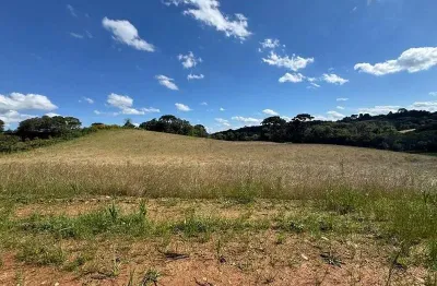 Terreno para formação de chácara próximo ao centro de araucária