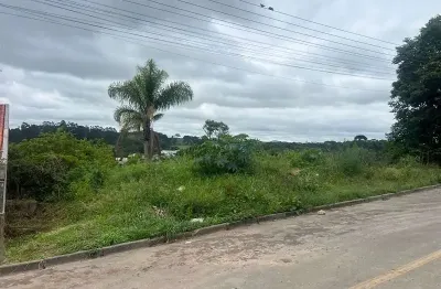 Terreno amplo na parte alta da vila pompéia, localização que valoriza!