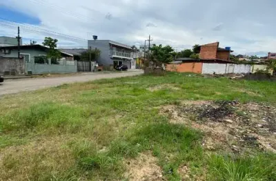 Oportunidade 2 terrenos prontos para construir em bal. picarras
