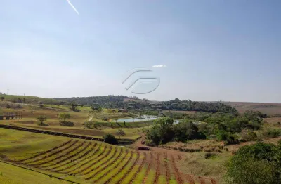 Terreno em condomínio fechado à venda na Rua Perimetral Oeste, 154, Ecovillas do Lago, Sertanópolis