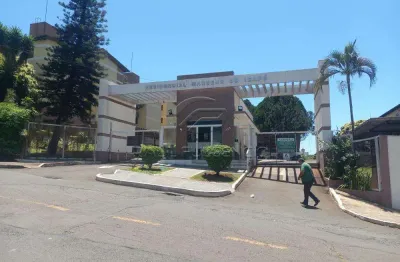 Apartamento com 2 quartos para alugar na Pedro Marcos Prado, 345, Lima Azevedo, Londrina