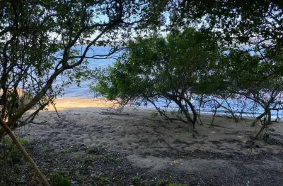 19 mil m² venda frente mar costa da lagoa florianópolis 550 mil