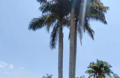 Chácara para venda em jarinu, zona rural, 4 dormitórios, 1 suíte, 4 banheiros, 4 vagas