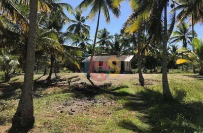 Vendo excelente área na praia de atalaia em canavieiras bahia