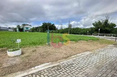 Terreno à venda na Rodovia Jorge Amado, Salobrinho, Ilhéus