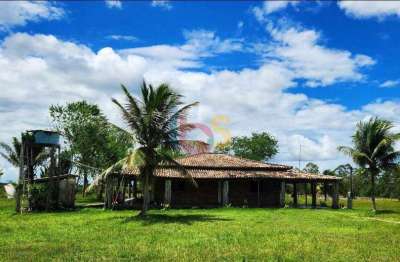 Chácara / sítio à venda na Distrito De Emerlandia, Zona Rural, Santa Luzia