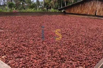 Chácara / sítio à venda na Rodovia Serra Grande Itacare, Serra Grande, Uruçuca