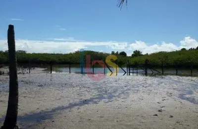 Chácara / sítio à venda na Situado No Braço Direito Do Rio Buranhem, Zona Rural, Porto Seguro