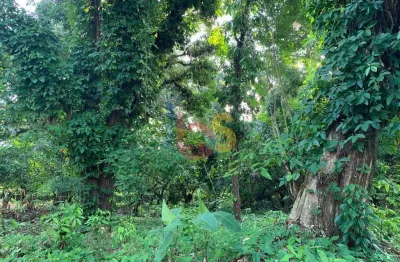 Terreno à venda na Rua Antonio Ricaldi, Centro Histórico, Porto Seguro