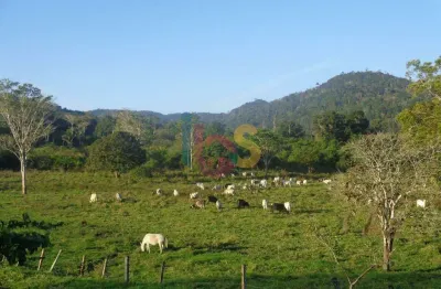 Chácara / sítio à venda na Inema, Área Rural de Ilhéus, Ilhéus
