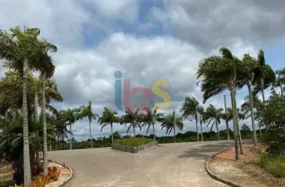 Terreno à venda na Rod Br 367, Santo Antônio, Santa Cruz Cabrália