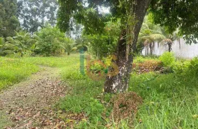 Terreno à venda na Rodovia Ba001, São Domingos, Ilhéus